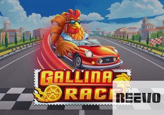 Gallina Race